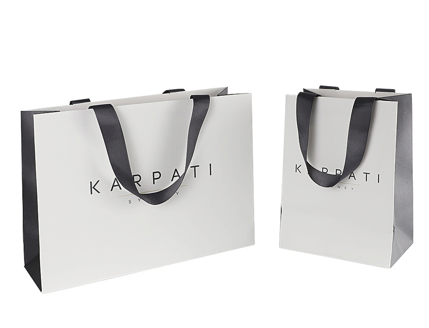 Custom foil stamped Luxury Retail Paper Shopping Bag Color Paper Bag Supplie